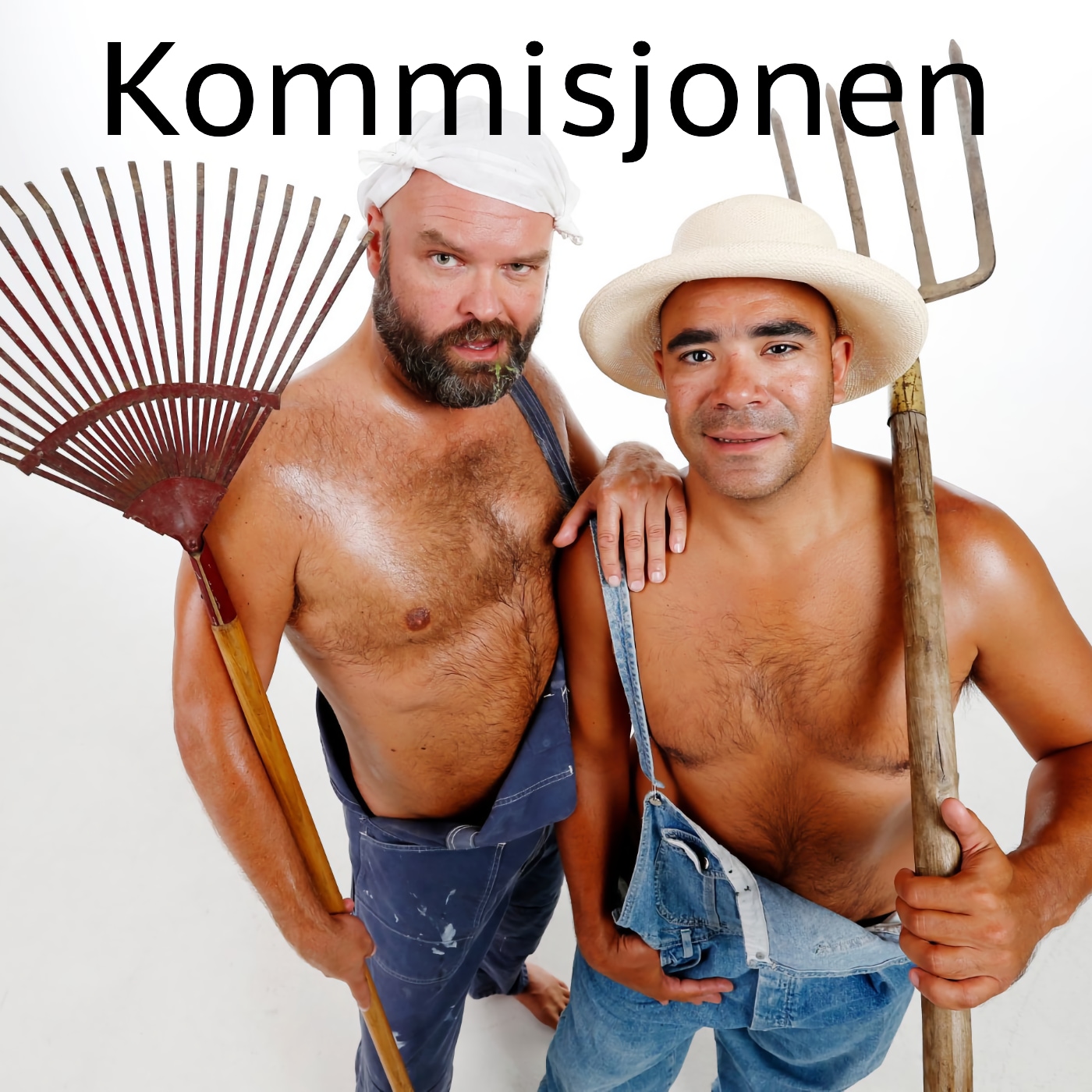 Cover for Kommisjonen